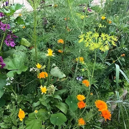 Les D'hotes De Pascale Bed and Breakfast 3*