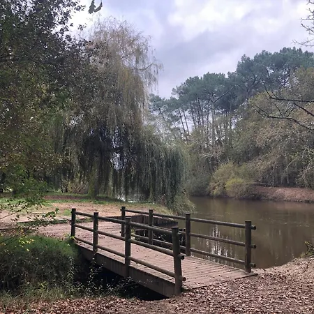 Les D'hotes De Pascale Bed & Breakfast