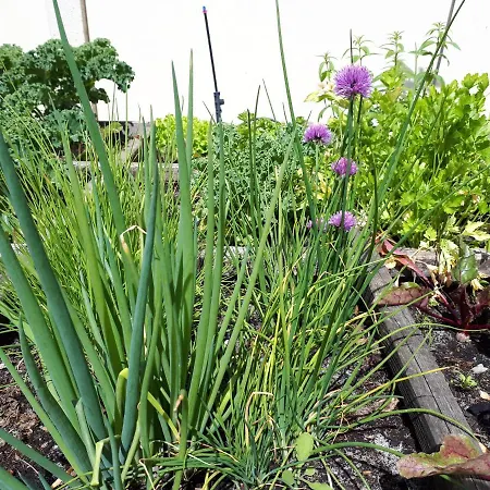 Les D'hotes De Pascale 3* Mios