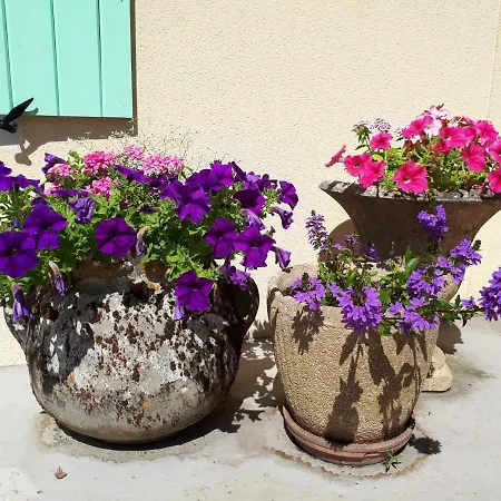 Bed & Breakfast Chez Pascale Et Patrick *