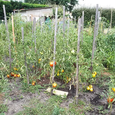 Les D'hotes De Pascale 3*