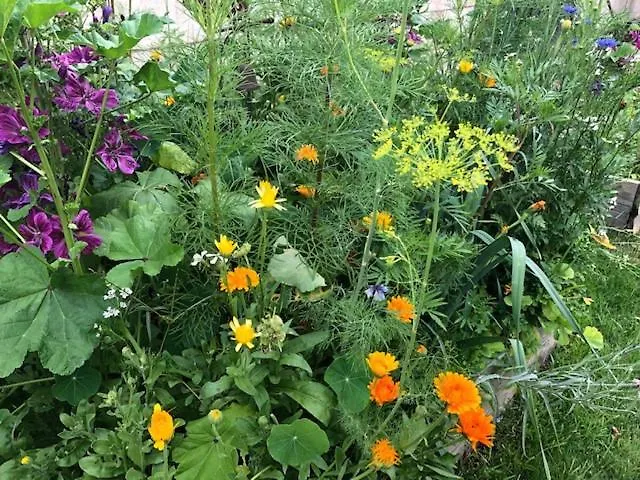 Les D'hotes De Pascale Bed & Breakfast 3*