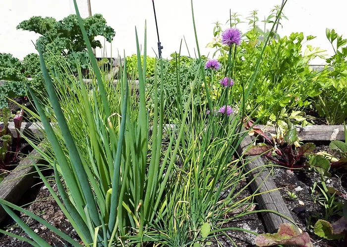 Les D'hotes De Pascale 3* Mios