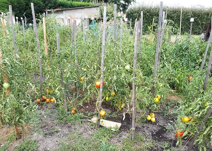 Les D'hotes De Pascale 3*